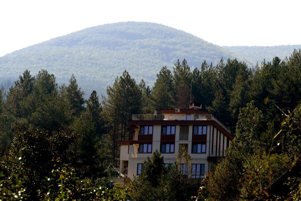 Mala Planina Guest House Iskrets Екстериор снимка